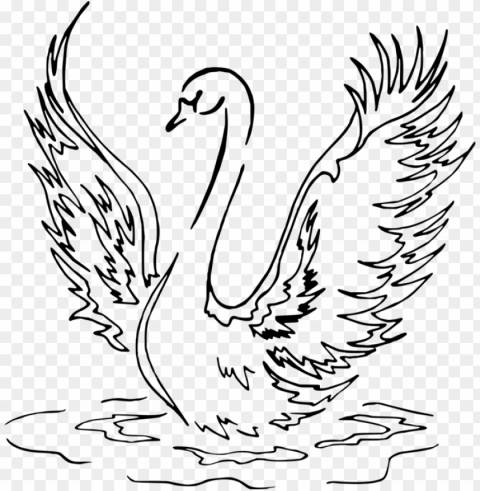 drawing line art pencil - swan drawi PNG with no background for free
