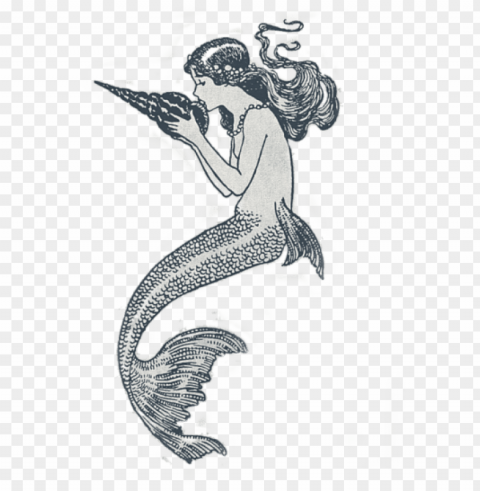 drawing mermaid free download on unixtitan getdrawings - 3drose lsp 151852 2 mermaids double toggle switch Clear PNG graphics