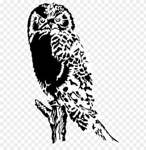 drawing of owl black white great horned owl - owl silhouette Isolated Subject on HighQuality PNG