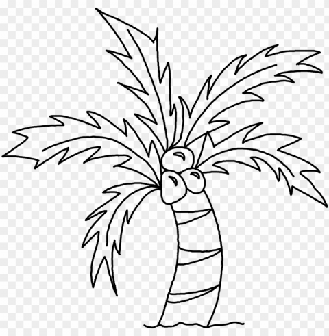 drawing picture of coconut tree - coconut tree sketch ClearCut Background PNG Isolated Subject