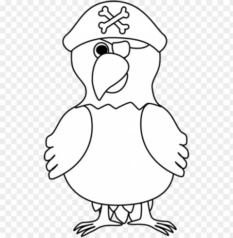 drawing pirates pirate parrot - black and white parrot clip art Free PNG images with alpha channel variety