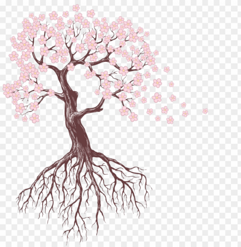 drawing tree root sketch - leafless tree clip art High-resolution transparent PNG images variety
