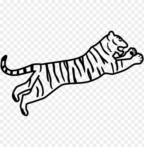 drawing white tiger siberian tiger bengal tiger coloring - bengal tiger easy drawi Transparent Background Isolated PNG Item