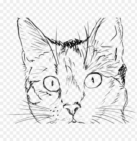 drawn black cat outline - sketch realistic cat face drawi PNG transparent vectors