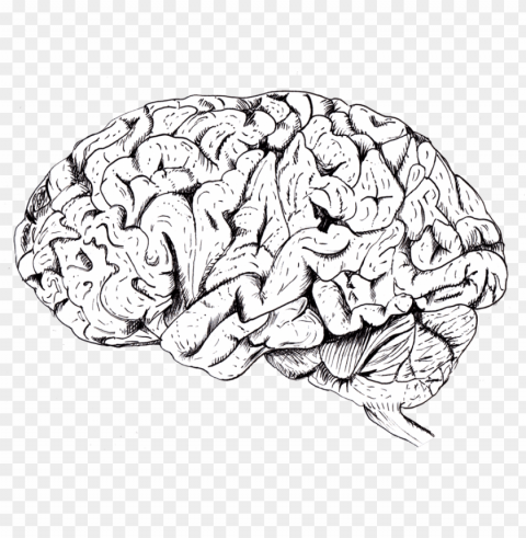 drawn brain tumblr - brai Transparent background PNG images complete pack