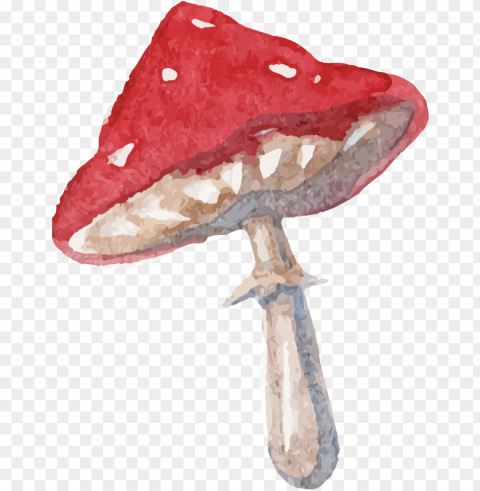drawn mushroom person - alice in wonderland mushroom drawi Transparent PNG Isolated Subject