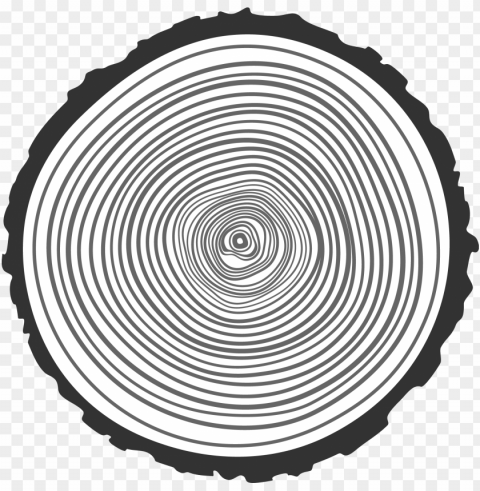 drawn ring hand drawn - tree ring Transparent PNG Isolated Element with Clarity