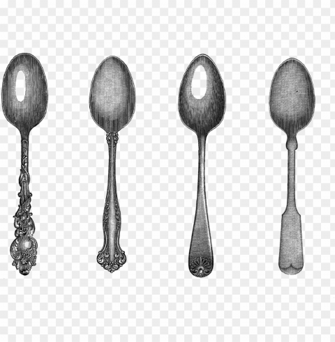 drawn spoon teaspoon - vintage spoon illustration and PNG free download