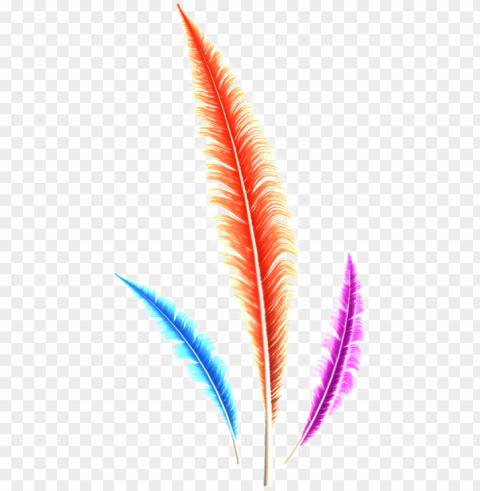 dream feather - illustratio Transparent PNG graphics bulk assortment