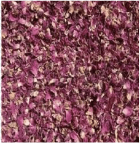 dried rose petals Transparent PNG stock photos
