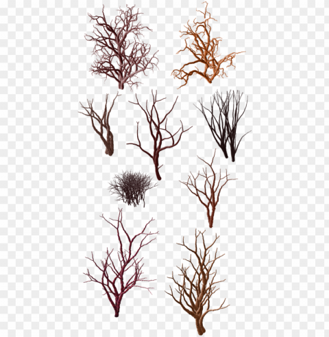 dry grass clipart desert shrub - tree in desert PNG files with no background wide assortment