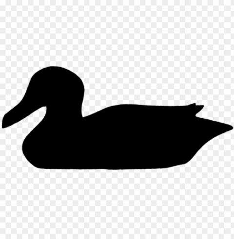 duck Clear Background PNG Isolated Item PNG transparent with Clear Background ID 8169d3f5