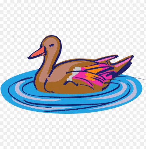 duck swimming PNG images with no background comprehensive set