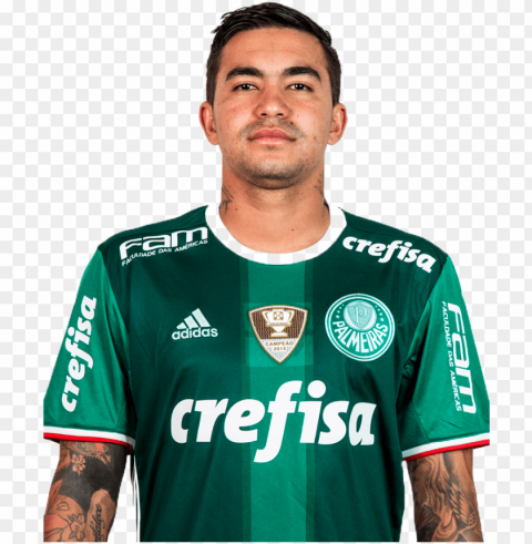 dudu - palmeiras 2018 PNG files with clear backdrop assortment