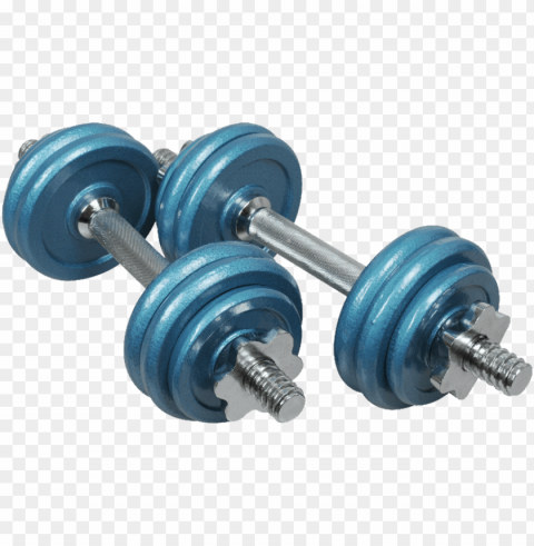 dumbbell Clear Background PNG Isolated Graphic