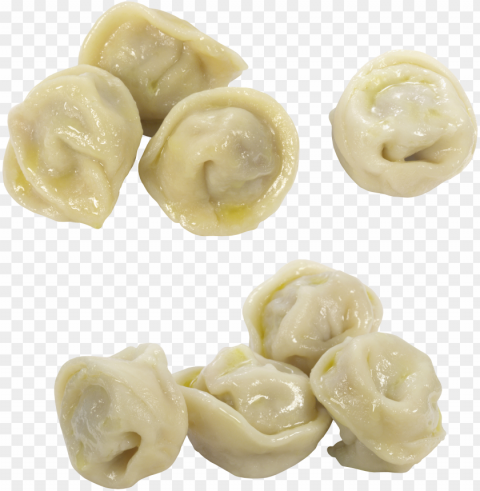 dumplings food no background PNG for design