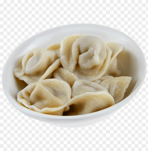 dumplings food PNG for blog use