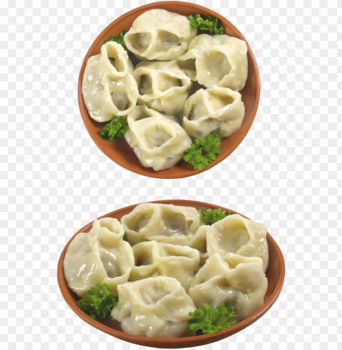 dumplings food PNG for web design