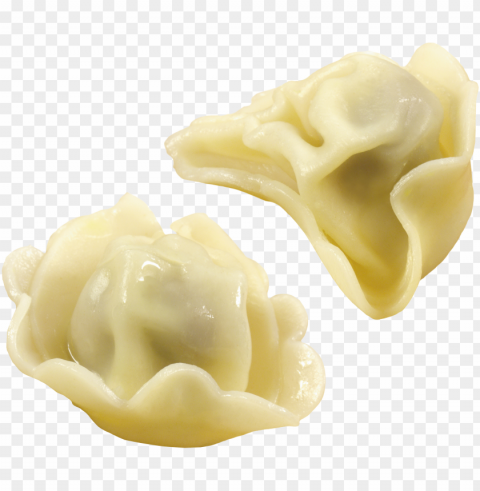 dumplings food design PNG Image with Clear Isolated Object