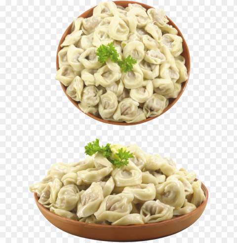 Dumplings Food Download PNG For Educational Projects