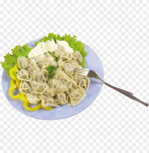 dumplings food download PNG image with no background
