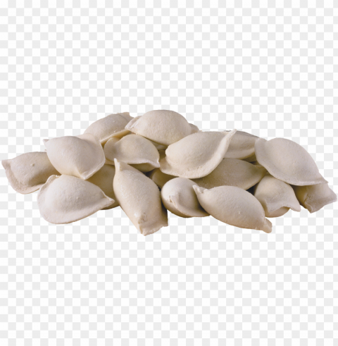 dumplings food PNG free download