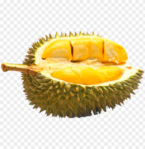 durian durian home - durian terenak di indonesia Free PNG images with transparency collection