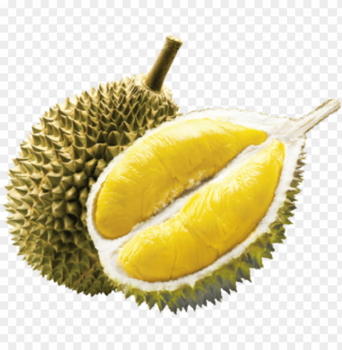 durian fruit - durian potong ice cream Free PNG images with clear backdrop