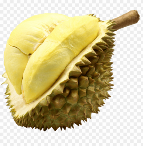 durian monthong fruit thailand - thailand duria Clear Background Isolation in PNG Format