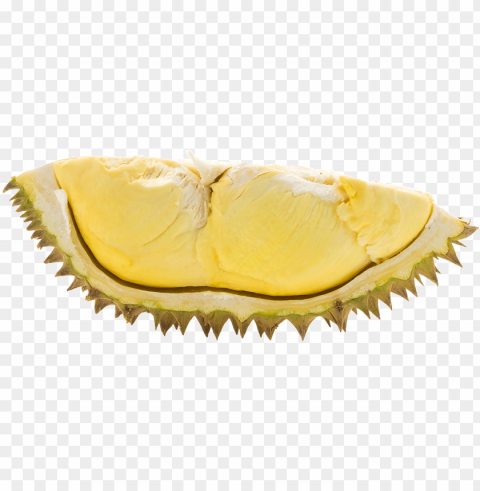 durian - duria PNG clipart with transparent background PNG transparent with Clear Background ID a7db0ecb