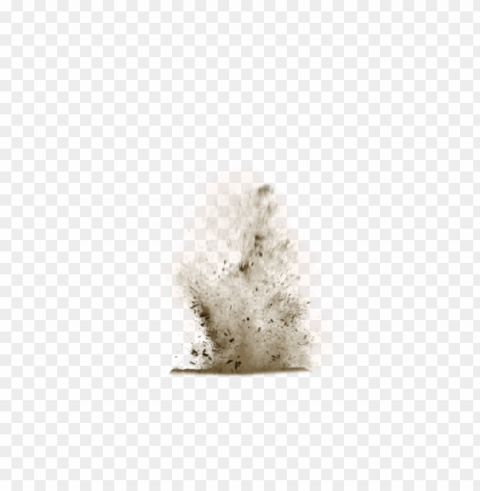 dust dirt Isolated Artwork on Clear Background PNG