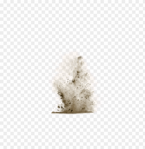 dust dirt Isolated Artwork on Clear Background PNG PNG transparent with Clear Background ID 1cfb3658