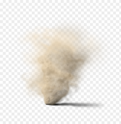 dust dirt Isolated Character in Transparent Background PNG