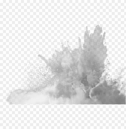 dust dirt Isolated Character in Transparent PNG Format