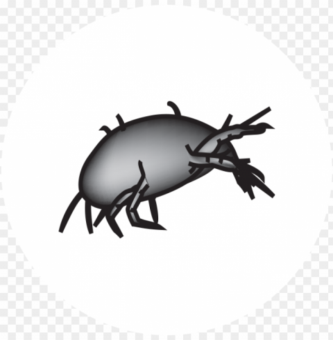 dust mites - mite PNG Graphic Isolated on Clear Background Detail