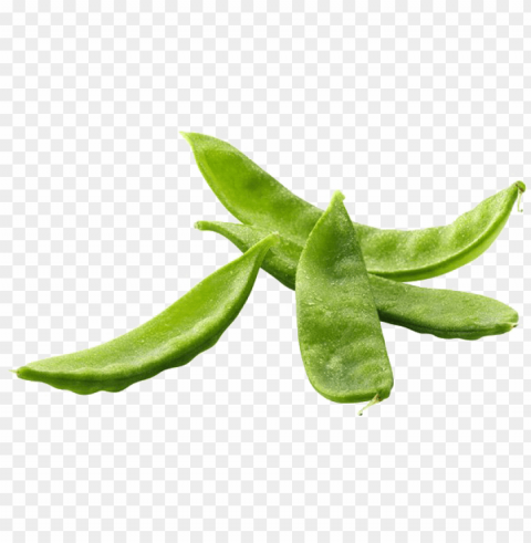 ea free - snap pea PNG Image with Transparent Background Isolation