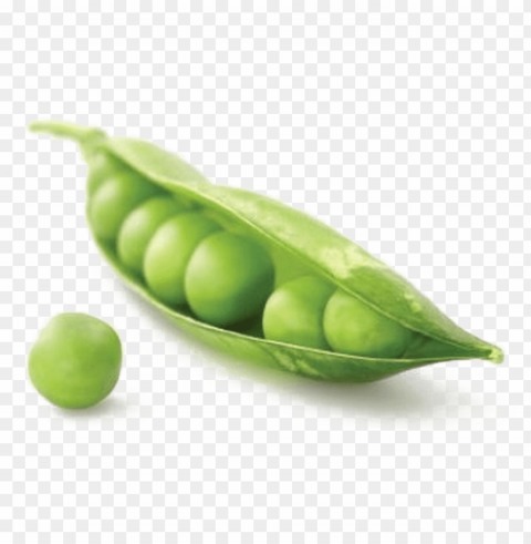 ea image - pea HighResolution PNG Isolated Artwork