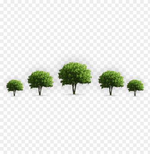 each one plant one tree essay - plant a tree PNG files with transparency