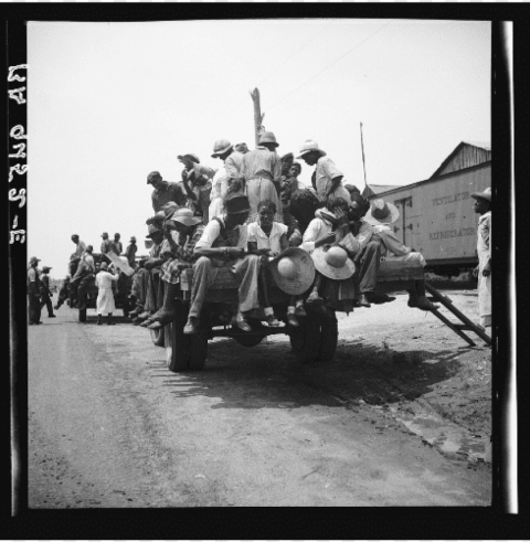 each pickers being driven to the orchards muscella - troo PNG graphics for free