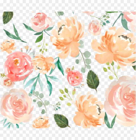 each watercolor delight flowers fabric by hudsondesigncompany - peach watercolor delight PNG images with alpha mask