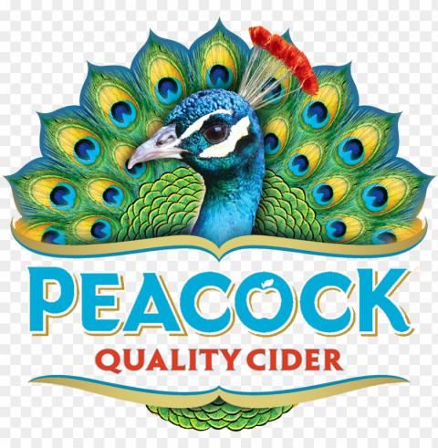 eacock cider - peafowl PNG graphics for presentations
