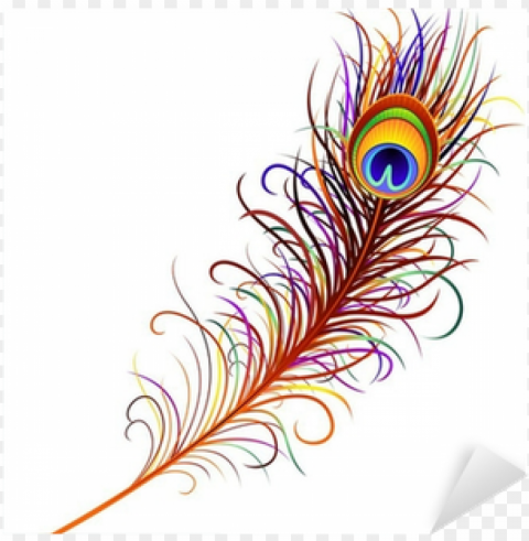 eacock feather vector download - colorful feather 5'x7'area ru PNG Image with Transparent Isolated Design
