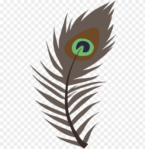 eacock feather vector - feather PNG format