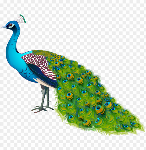 eacock transparent image - peafowl PNG with clear background set