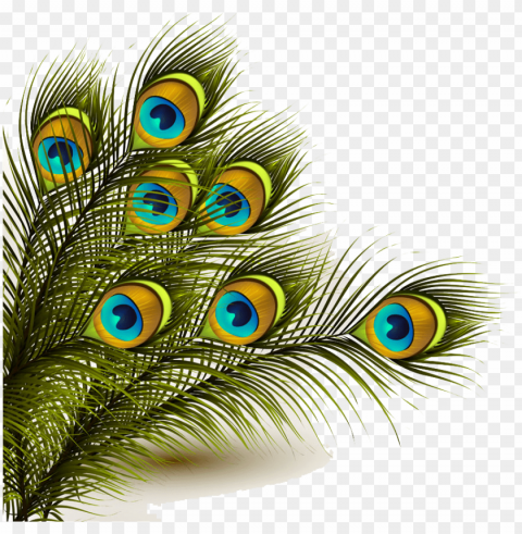 eafowl clip art transprent closeup symbol PNG images with no background free download