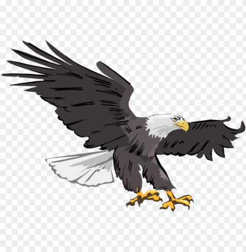 eagle clipart bald eagle clipart images free clipartix - clipart of flying eagle Background-less PNGs