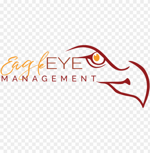 eagle eyes consulting Transparent Background Isolation in PNG Image