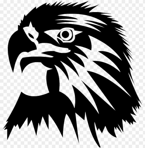 eagle images free download pngmart - eagle head Isolated Illustration in HighQuality Transparent PNG