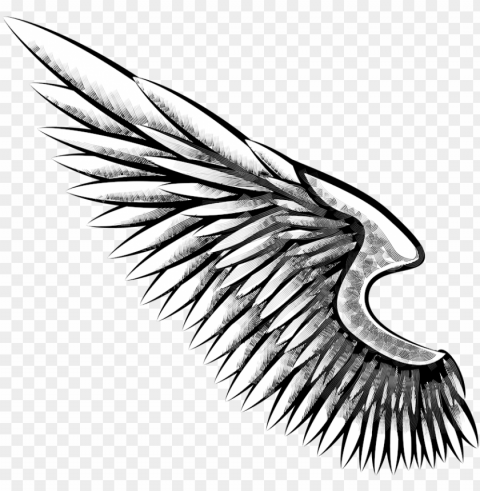 eagle wing freeuse download - alas de aguila dibujo PNG clipart with transparent background