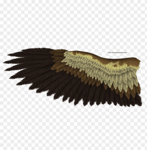 eagle wings background image - red eagle wings Isolated Subject in HighResolution PNG